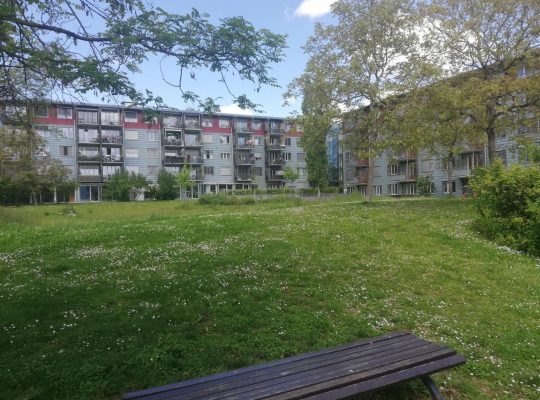 Spielplatz Erich-Bloch-Weg - Grünfläche