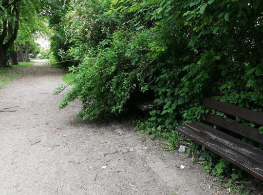 Spielplatz Hindenburgpark - verwachsen