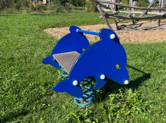 Spielplatz Moosweg - Federwippe Delphine