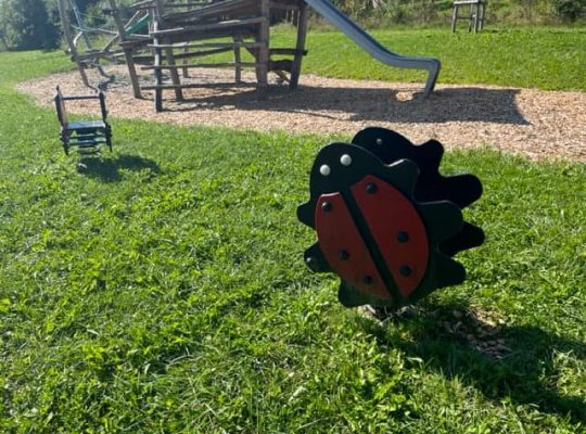 Spielplatz Moosweg - Federwippe