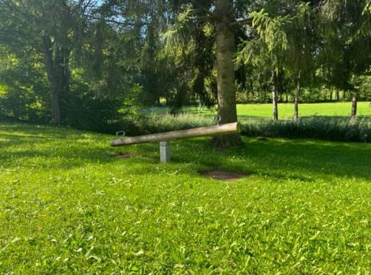 Spielplatz Moosweg - Wippe (2)