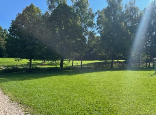 Spielplatz Moosweg - viel Wiese