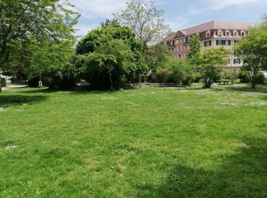Spielplatz Palmenhauspark - grünfläche