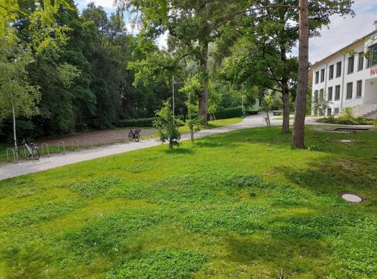 Spielplatz Raiteburg - grünfläche