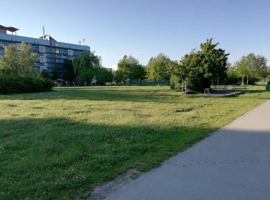 Spielplatz Schänzle - grünfläche