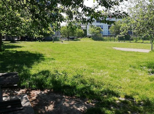 Spielplatz Schänzle - viel Grünfläche