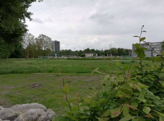 Spielplatz Sea Life - Fußball