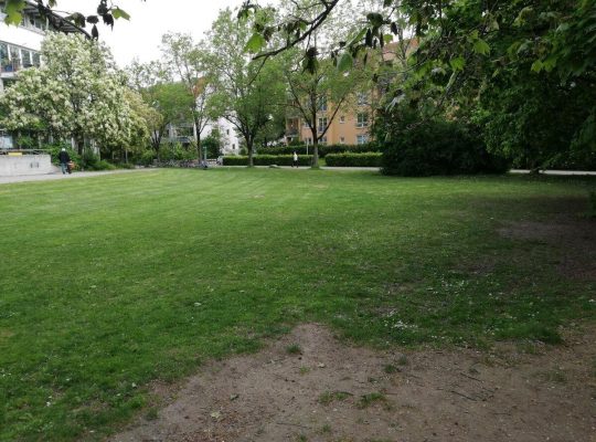 Spielplatz Treffpunkt Petershausen - spielwiese