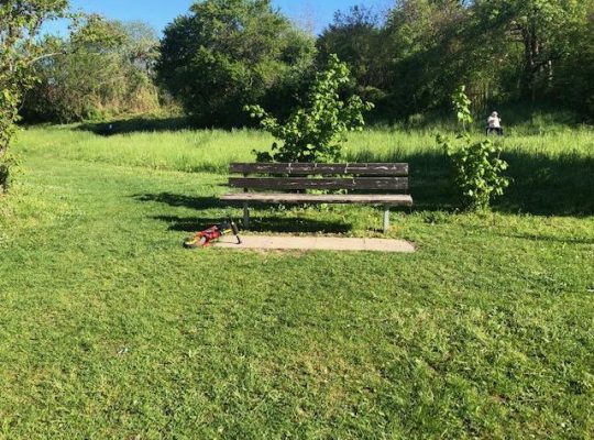Spielplatz Urisberg Sitzbank
